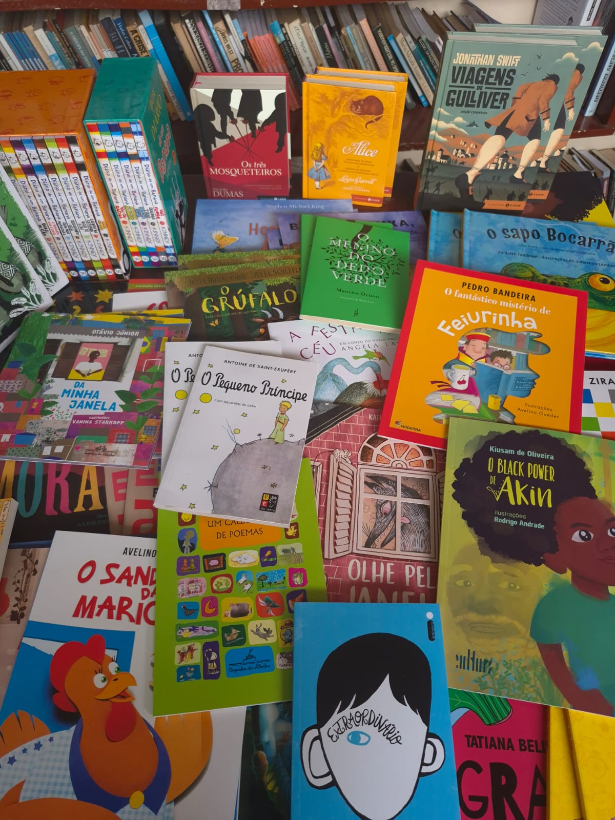 Acervos bibliotecas