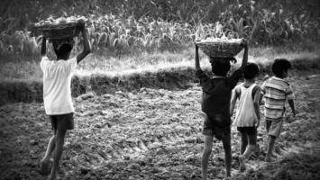 Mês de junho tem ações especiais de combate ao trabalho infantil
