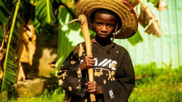 O trabalho infantil no Brasil - Uma história de violações de direitos humanos de crianças e adolescentes