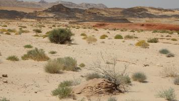 Globo Rural volta 26 anos depois ao sertão baiano e debate persistência da seca e da vulnerabilidade social
