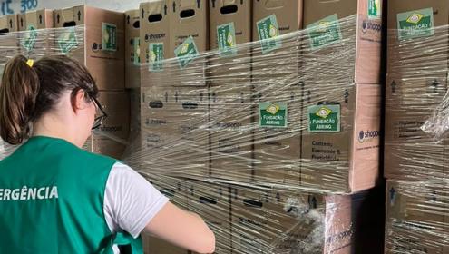 Fundação Abrinq realiza doações para famílias atingidas pelas chuvas no Litoral Norte de São Paulo
