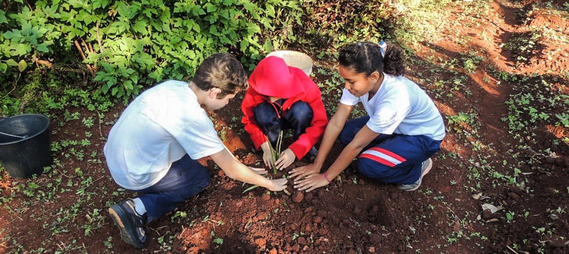 Projeto Escola no Campo, Valorização da vida no campo