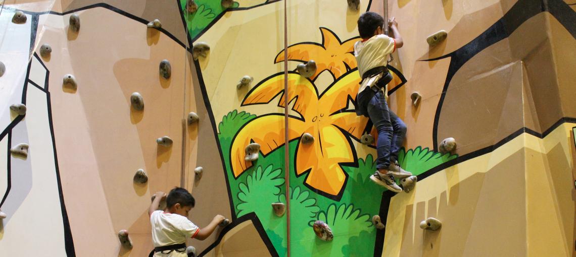 parques de diversão, Dia Nacional da Alegria