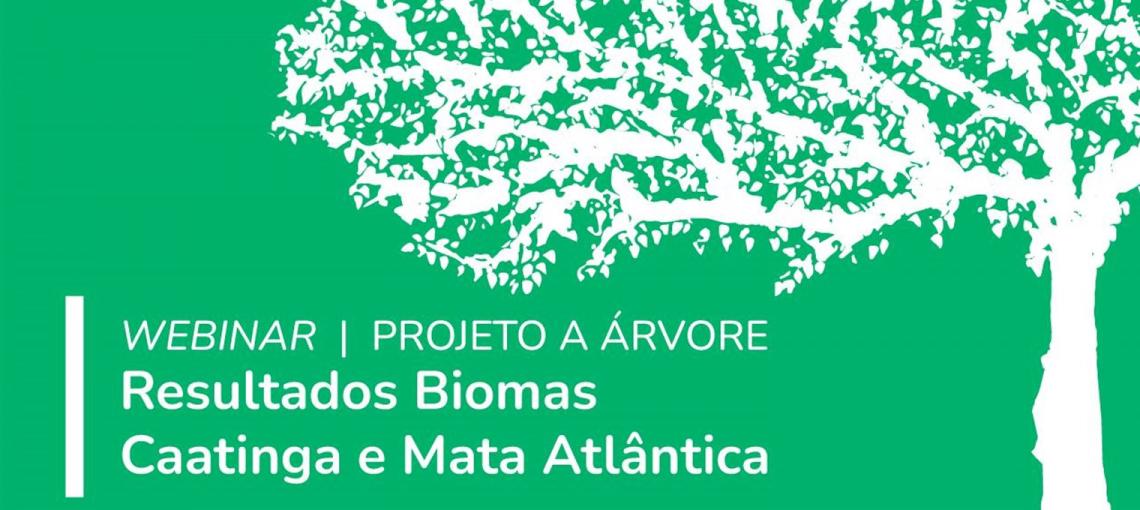 Fundação Abrinq celebra os resultados do Projeto A Árvore nos biomas Caatinga e Mata Atlântica