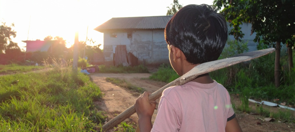 Criança em situação de trabalho infantil no campo